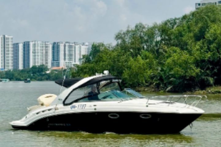 CHAPARRAL 275 2010 - ảnh 2